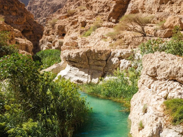 أفضل 19 مكان سياحي في عمان: دليل لأجمل المناطق والمعالم السياحية 2026 6 وادي شاب