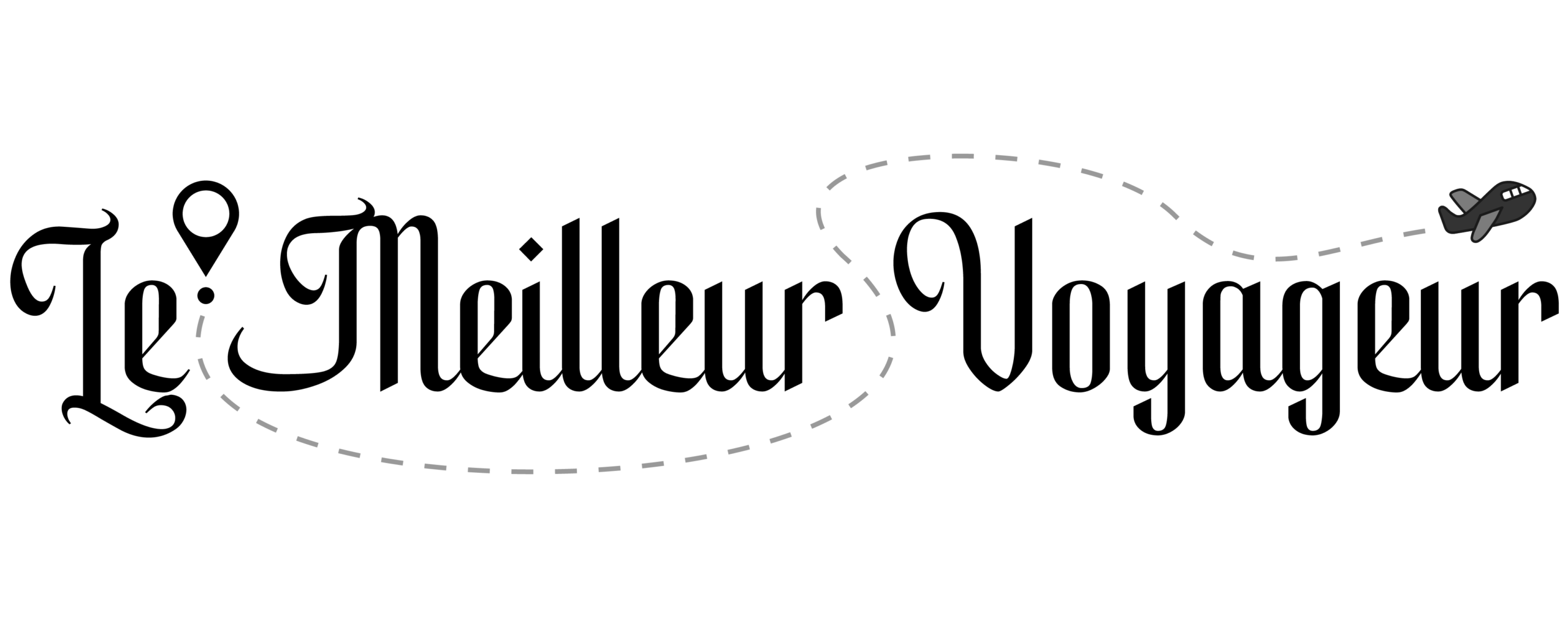 Le Meilleur Voyageur